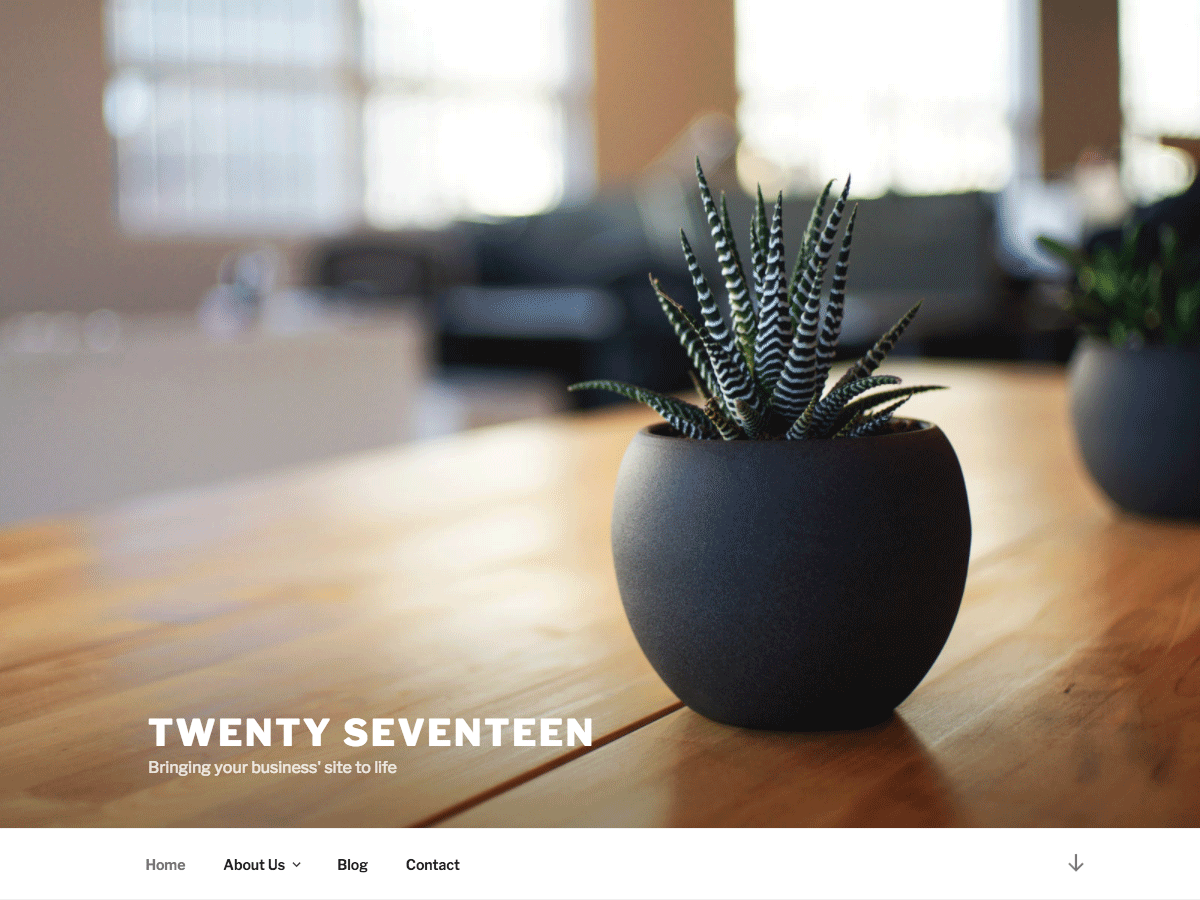 professional web design services by SETML.Inc